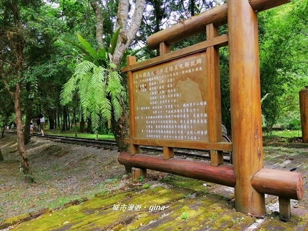 IMG_20200626_124414.jpg IMG_20200626_124414.jpg