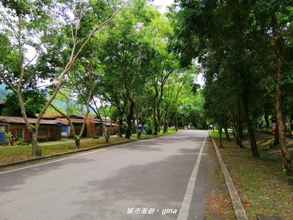 IMG_20200626_124417.jpg IMG_20200626_124417.jpg