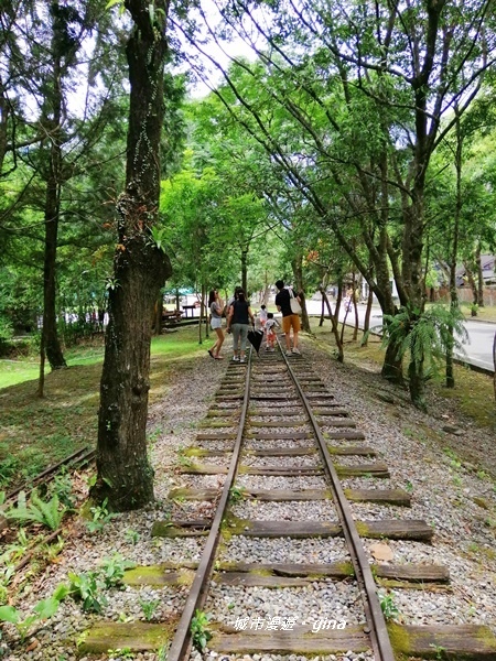 IMG_20200626_124311.jpg IMG_20200626_124311.jpg