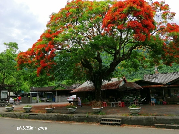 IMG_20200626_124539.jpg IMG_20200626_124539.jpg