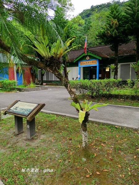 IMG_20200626_125330.jpg IMG_20200626_125330.jpg