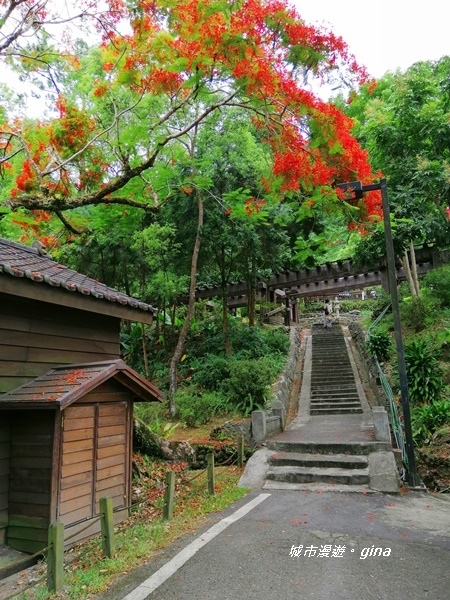 IMG_20200626_125640.jpg IMG_20200626_125640.jpg