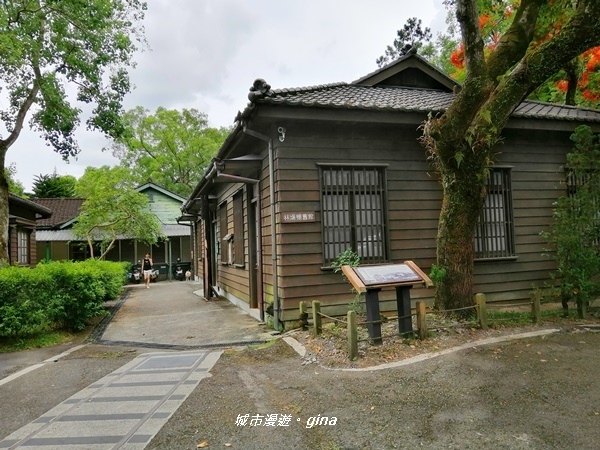 IMG_20200626_125621.jpg IMG_20200626_125621.jpg