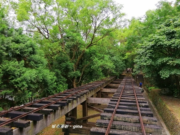 IMG_20200626_125946.jpg IMG_20200626_125946.jpg