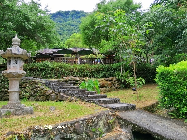 IMG_20200626_125858.jpg IMG_20200626_125858.jpg