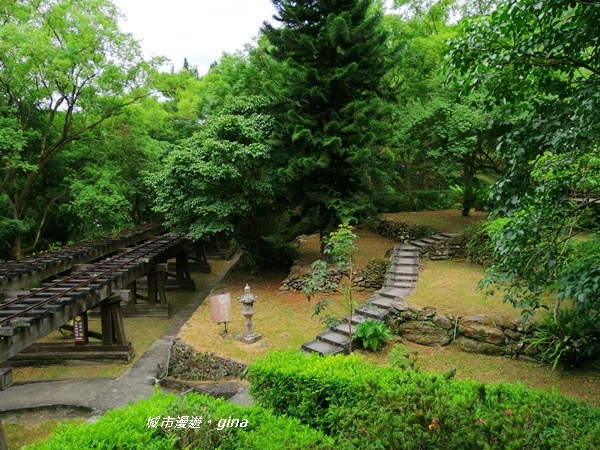 IMG_20200626_130031.jpg IMG_20200626_130031.jpg