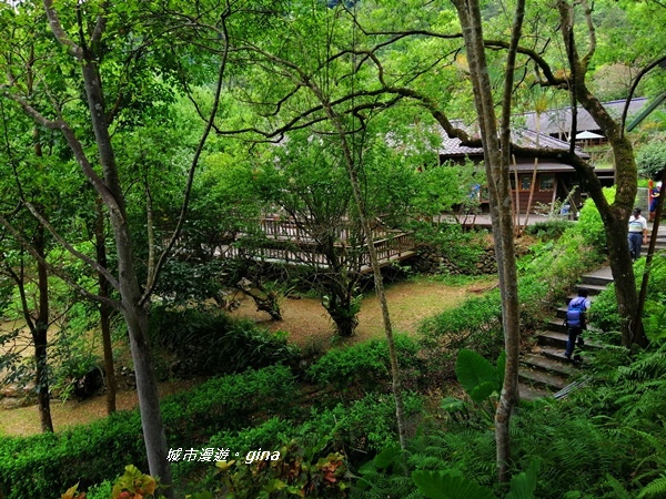 IMG_20200626_130047.jpg IMG_20200626_130047.jpg