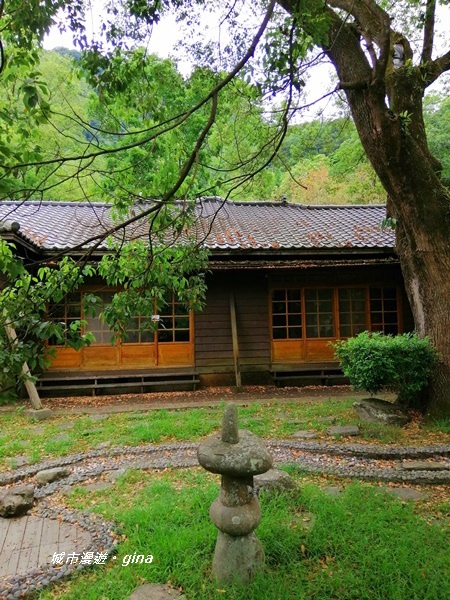 IMG_20200626_130119.jpg IMG_20200626_130119.jpg