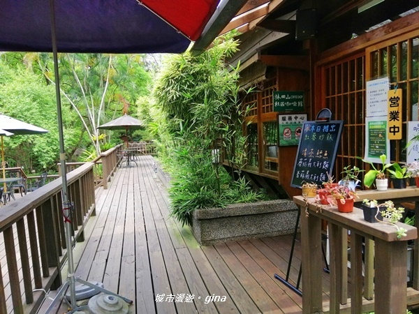 IMG_20200626_130942.jpg IMG_20200626_130942.jpg