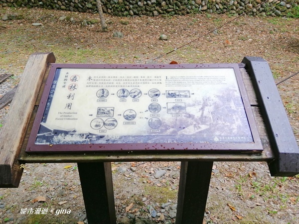 IMG_20200626_141705.jpg IMG_20200626_141705.jpg