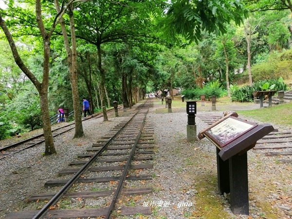 IMG_20200626_141658.jpg IMG_20200626_141658.jpg