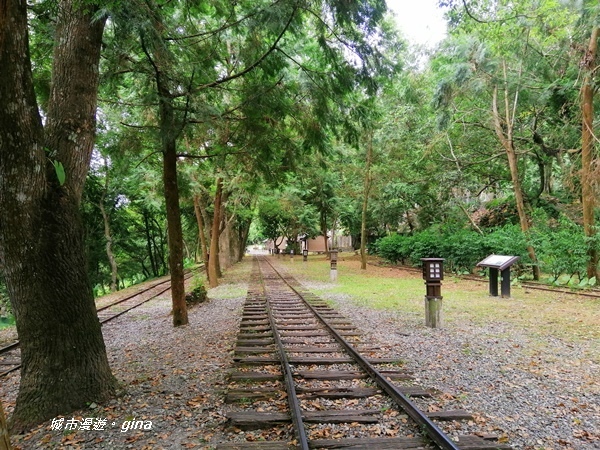 IMG_20200626_141807.jpg IMG_20200626_141807.jpg