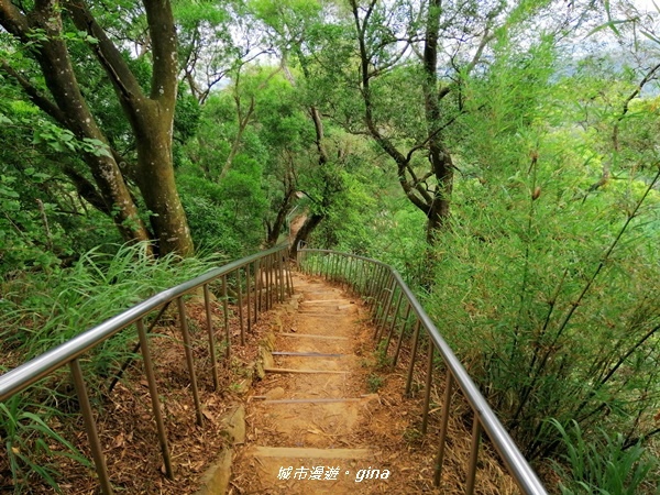 【彰化田中】蓊鬱山林賞景趣。 田中森林步道