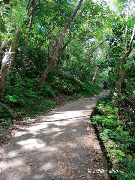 【彰化田中】蓊鬱山林賞景趣。 田中森林步道