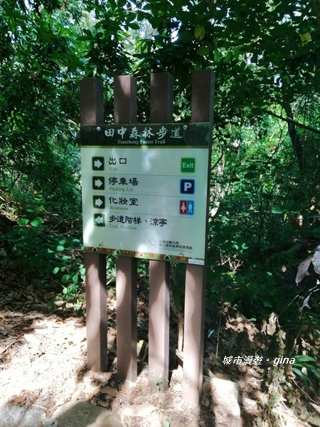 【彰化田中】蓊鬱山林賞景趣。 田中森林步道