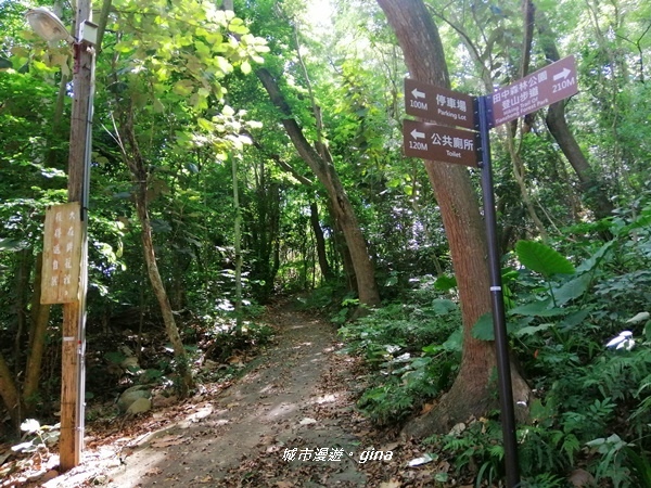 【彰化田中】蓊鬱山林賞景趣。 田中森林步道