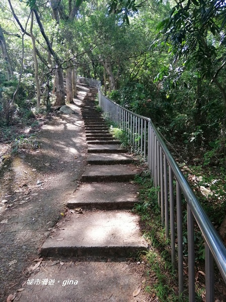 【彰化田中】蓊鬱山林賞景趣。 田中森林步道