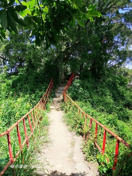 【彰化田中】蓊鬱山林賞景趣。 田中森林步道