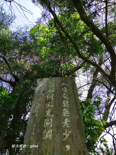 【彰化田中】蓊鬱山林賞景趣。 田中森林步道