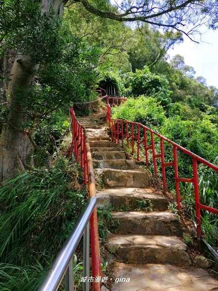 【彰化田中】蓊鬱山林賞景趣。 田中森林步道