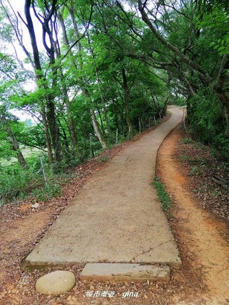 【彰化田中】蓊鬱山林賞景趣。 田中森林步道