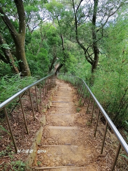 【彰化田中】蓊鬱山林賞景趣。 田中森林步道