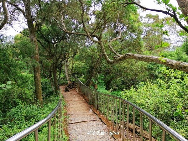 【彰化田中】蓊鬱山林賞景趣。 田中森林步道