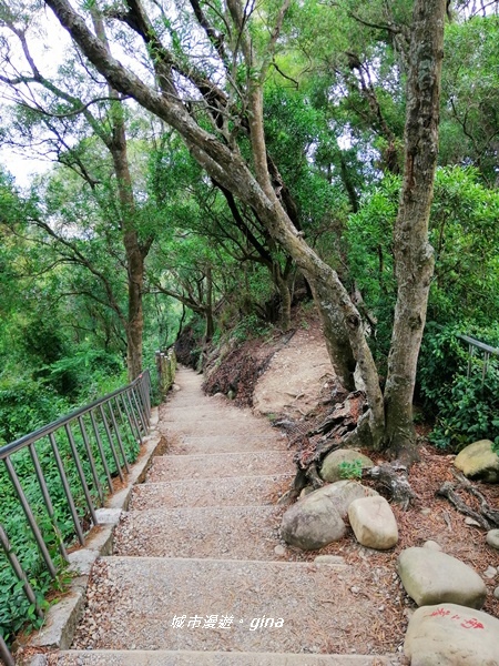 【彰化田中】蓊鬱山林賞景趣。 田中森林步道