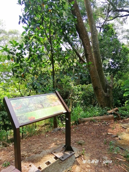 【彰化田中】蓊鬱山林賞景趣。 田中森林步道