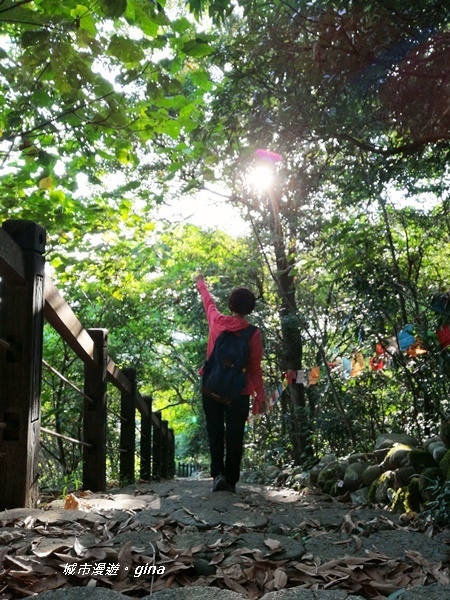 IMG_20200718_155802.jpg IMG_20200718_155802.jpg