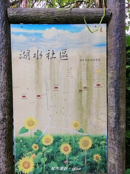 IMG_20200718_155903.jpg IMG_20200718_155903.jpg