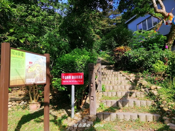 IMG_20200718_160206.jpg IMG_20200718_160206.jpg