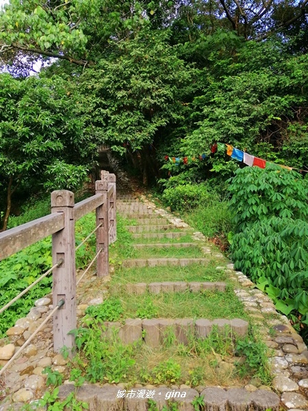 IMG_20200718_160310.jpg IMG_20200718_160310.jpg