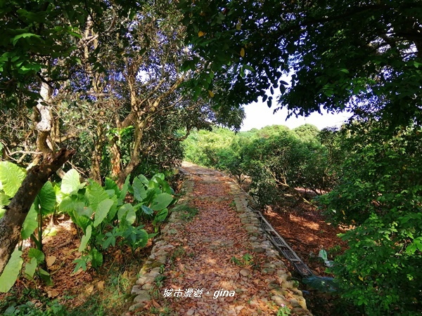 IMG_20200718_160908.jpg IMG_20200718_160908.jpg