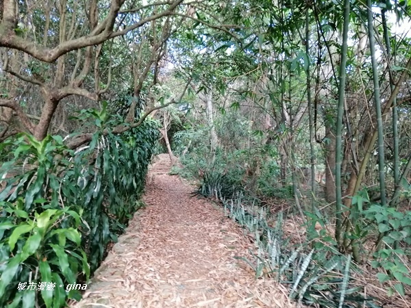 IMG_20200718_161343.jpg IMG_20200718_161343.jpg