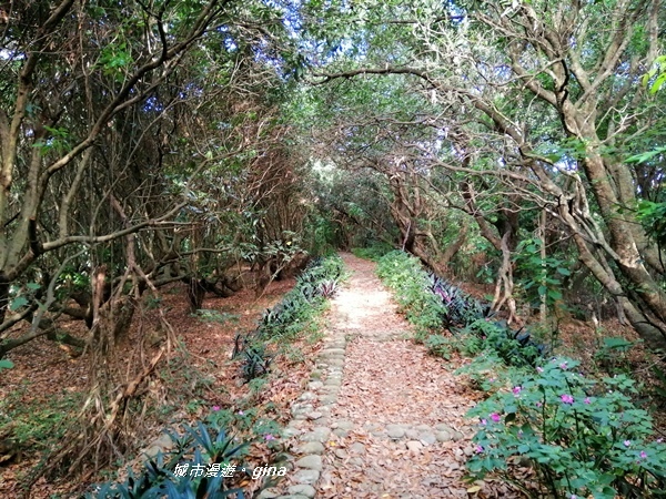 IMG_20200718_161501.jpg IMG_20200718_161501.jpg