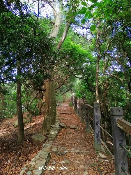 IMG_20200718_161754.jpg IMG_20200718_161754.jpg