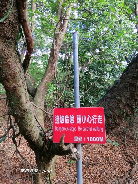 IMG_20200718_161602.jpg IMG_20200718_161602.jpg