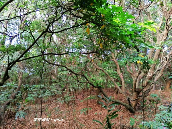 IMG_20200718_161504.jpg IMG_20200718_161504.jpg