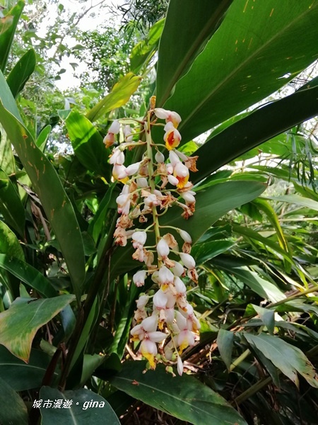 IMG_20200718_161928.jpg IMG_20200718_161928.jpg