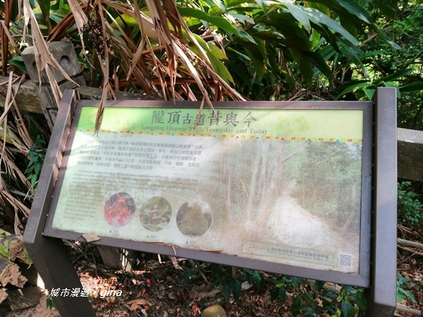 IMG_20200718_161921.jpg IMG_20200718_161921.jpg