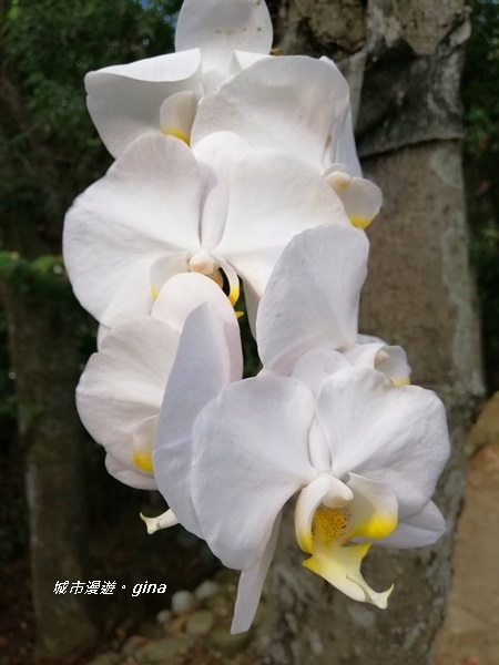 IMG_20200718_161938.jpg IMG_20200718_161938.jpg