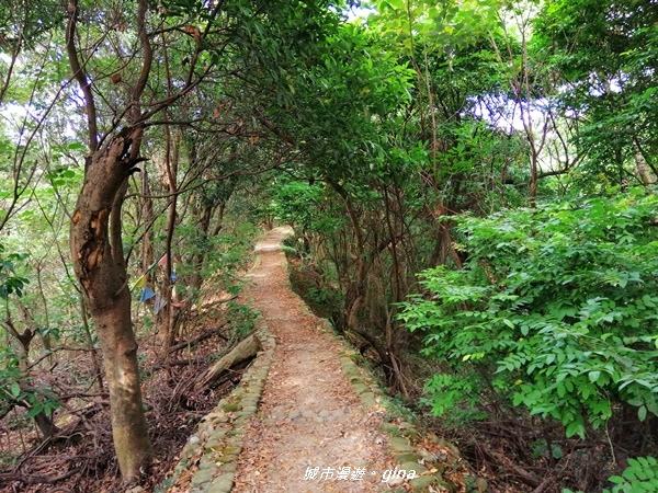 IMG_20200718_162020.jpg IMG_20200718_162020.jpg