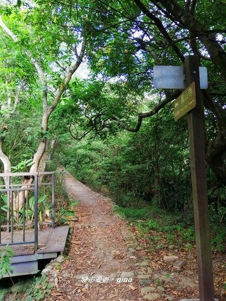 IMG_20200718_162351.jpg IMG_20200718_162351.jpg