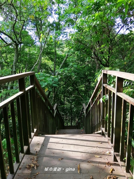 IMG_20200718_162422.jpg IMG_20200718_162422.jpg