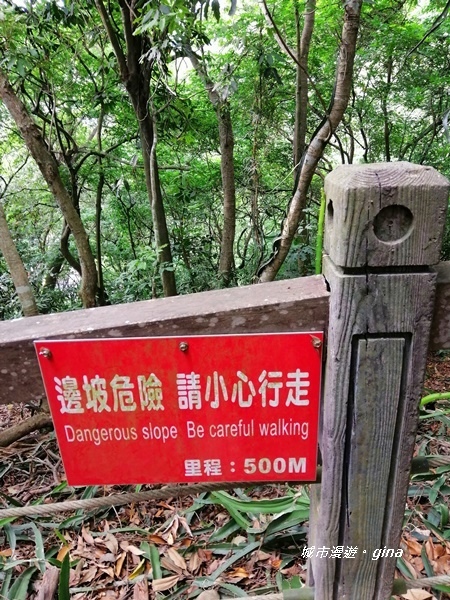 IMG_20200718_162618.jpg IMG_20200718_162618.jpg