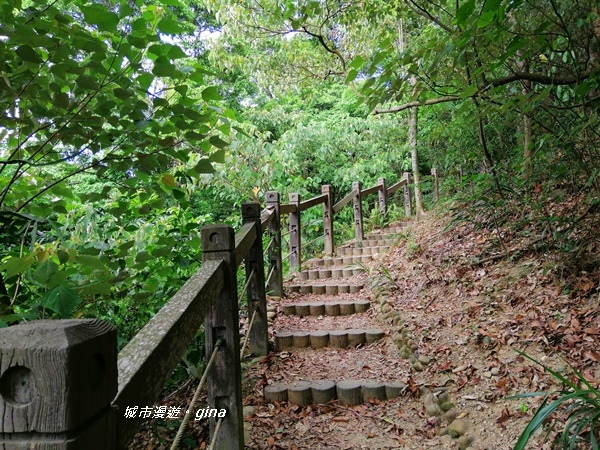 IMG_20200718_162658.jpg IMG_20200718_162658.jpg