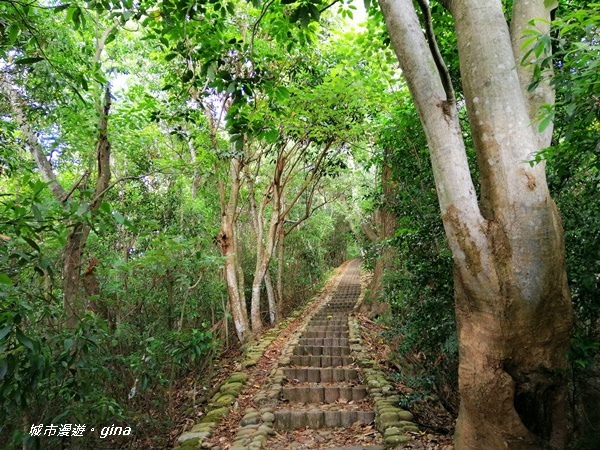 IMG_20200718_162947.jpg IMG_20200718_162947.jpg