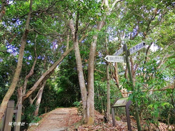 IMG_20200718_163219.jpg IMG_20200718_163219.jpg