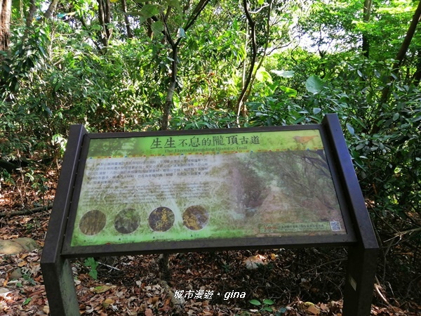 IMG_20200718_163254.jpg IMG_20200718_163254.jpg